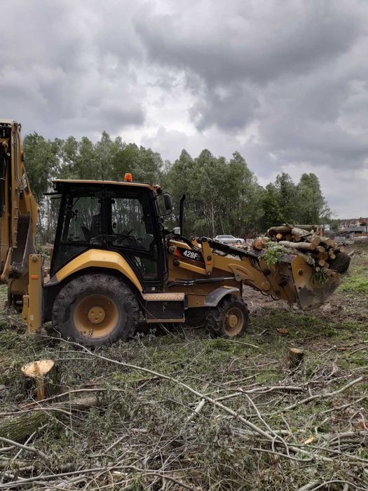 Видалення аварійних дерев. Є послуги ЩЕПОРІЗА