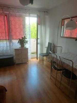 Mieszkanie /apartament, noclegi w Toruniu