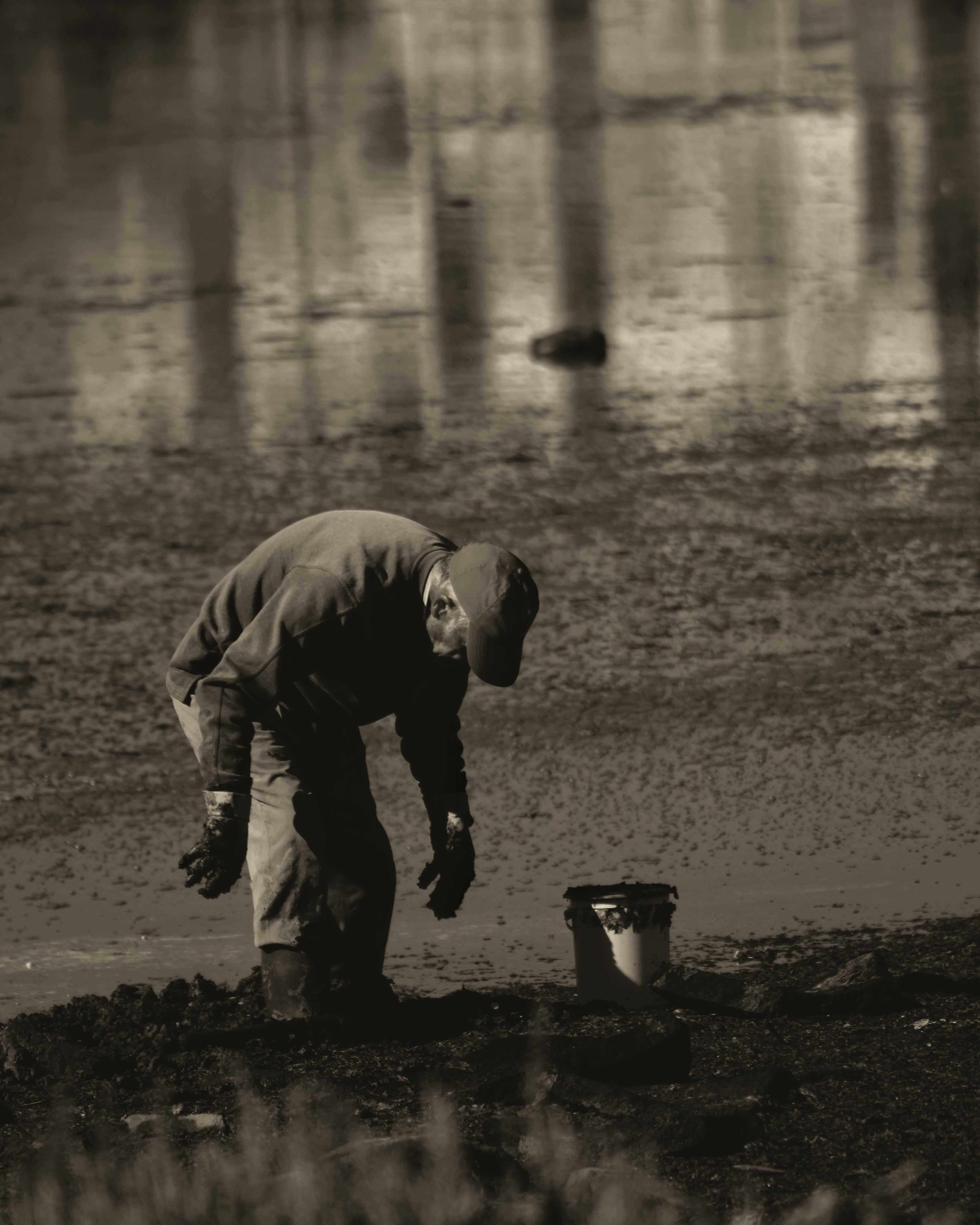 Serviço de Fotografia