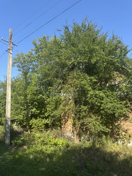 Дачна ділянка з недобудованим будинком у Микитинцях