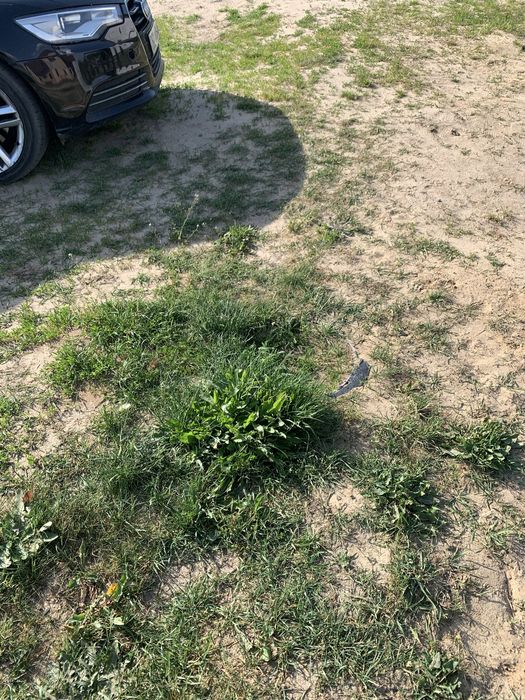 Sprzedam działkę budowlaną w Lginiu