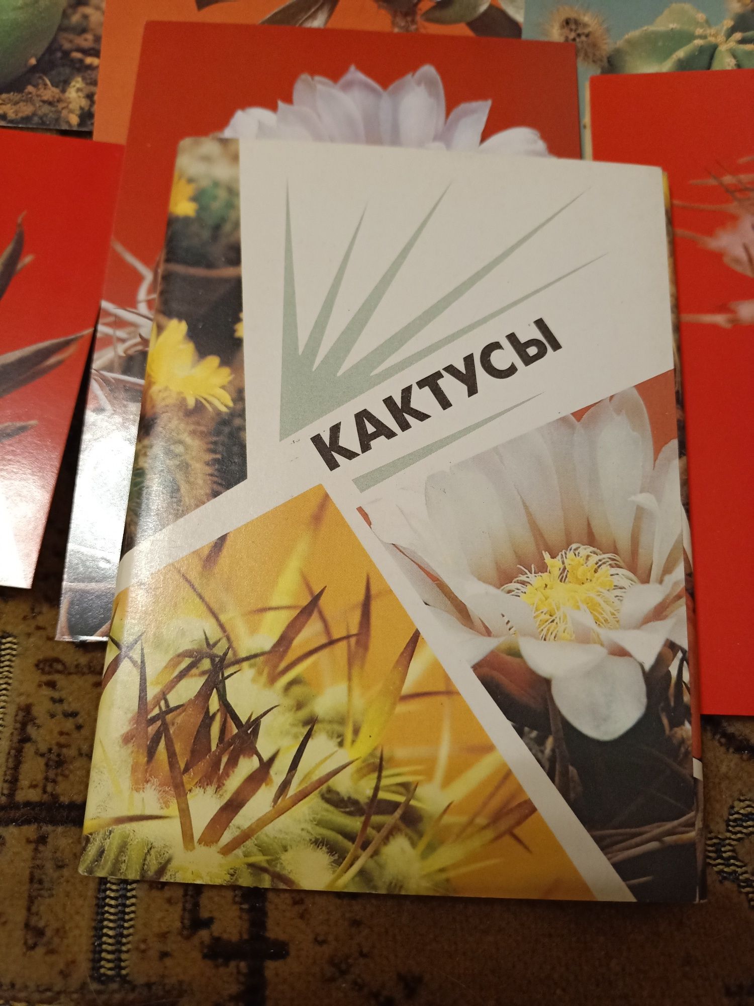 Набор открыток СССР кактусы