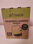 Kiełkownica słoik