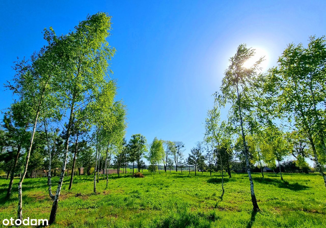 MAZURY Malownicze Działki bud z MPZP przy LESIE nad JEZIOREM_2h z W-wy