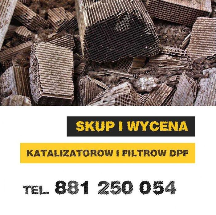 Skup katalizatorów Rzeszów podkarpacie najwyższe ceny