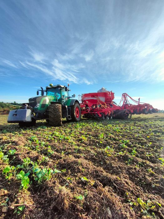Koszenie kukurydzy na ziarno przyczepa przeładowcza