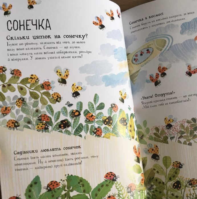 Велика книжка про комах / Книга про малих істот