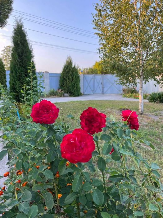 Будинок з виходом до рiчки