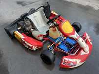 Karting IAME 125 C/ Abrandadores