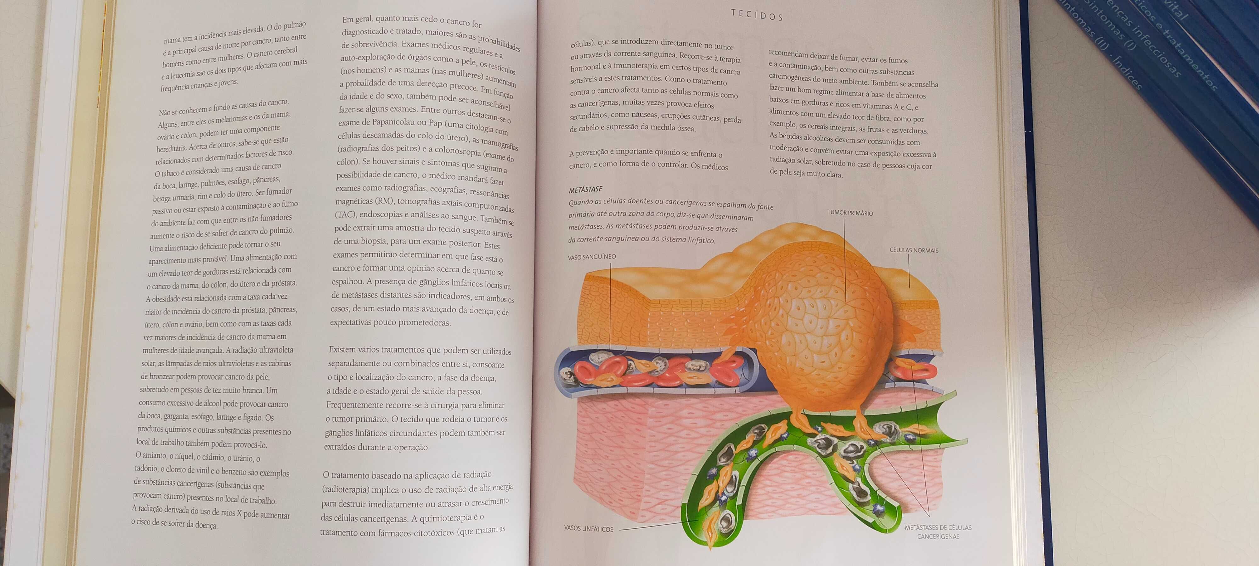 Coleção Atlas do Corpo Humano - 15 Livros