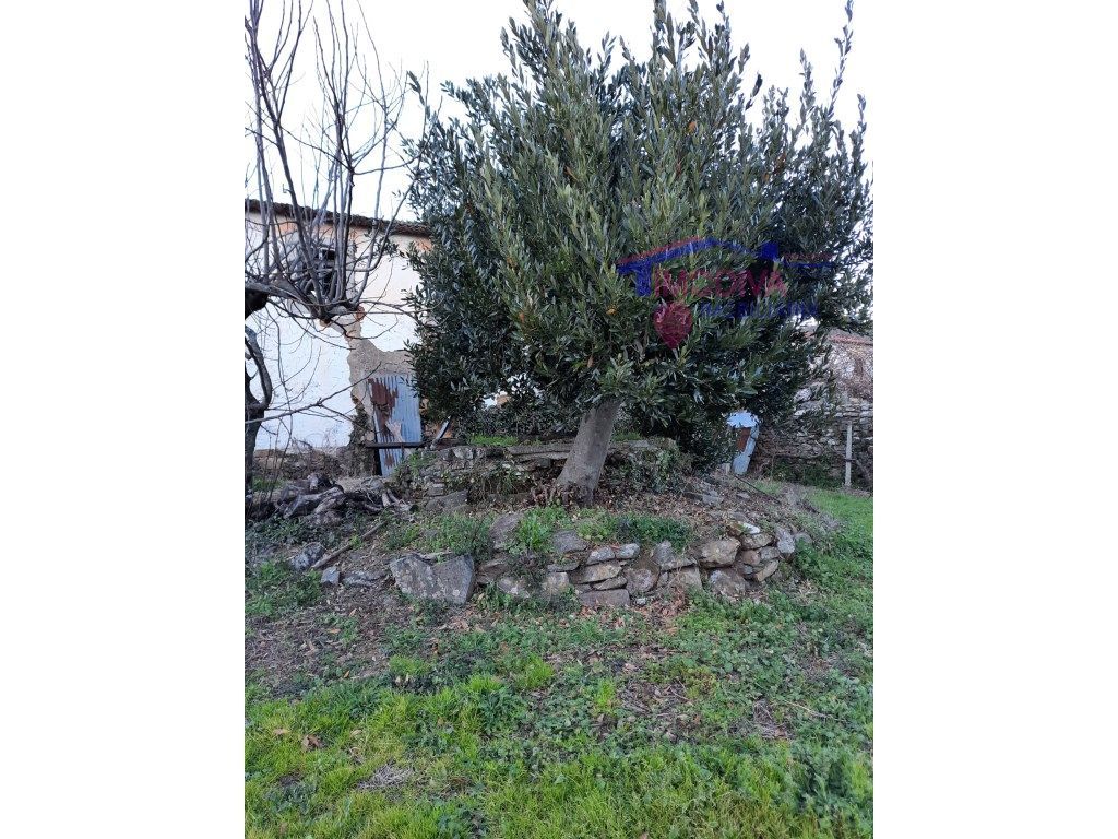 Ruínas para reabilitação em Castanheira de Pera