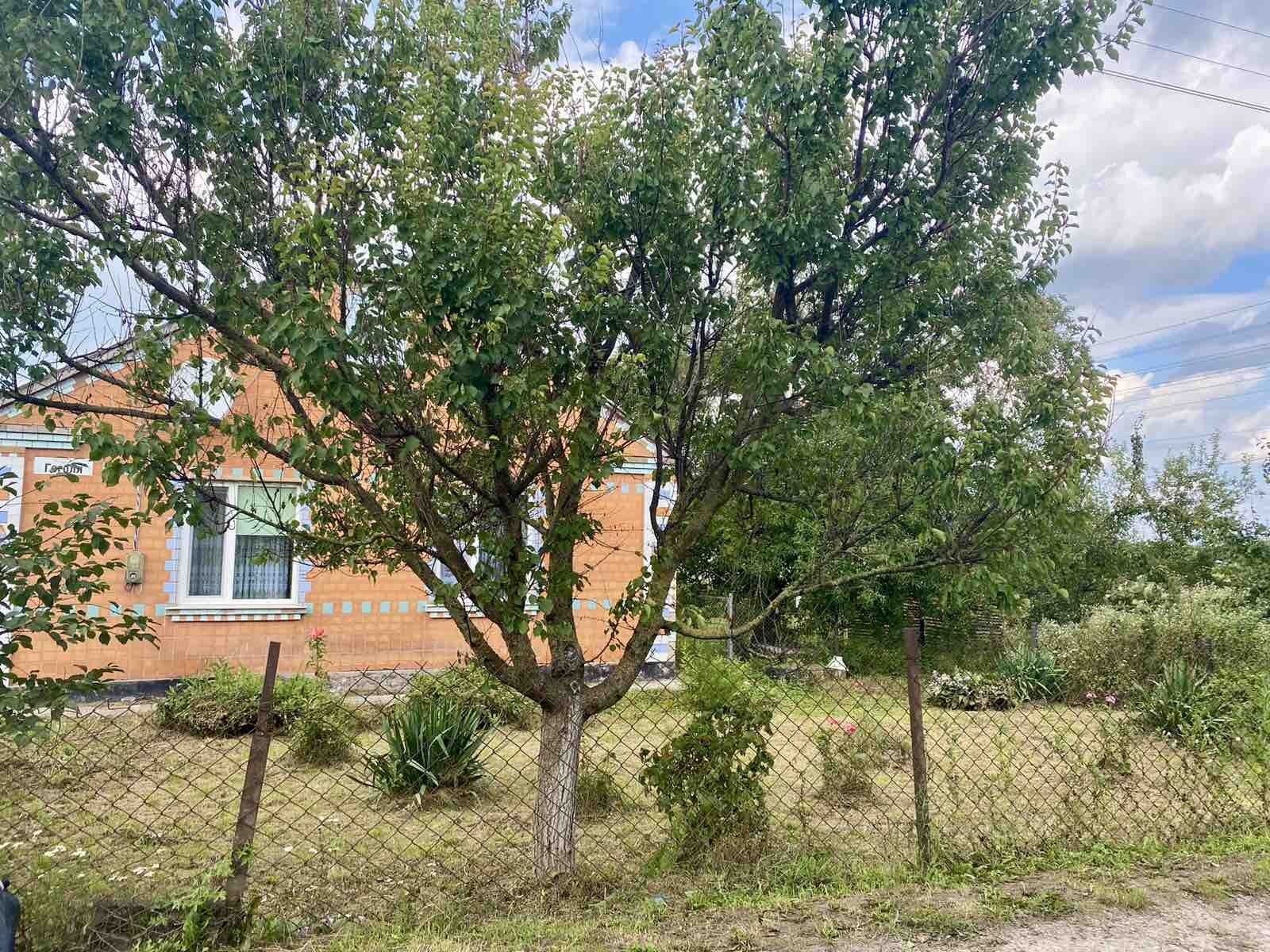Продам будинок  с.Лішня Гоголя 29