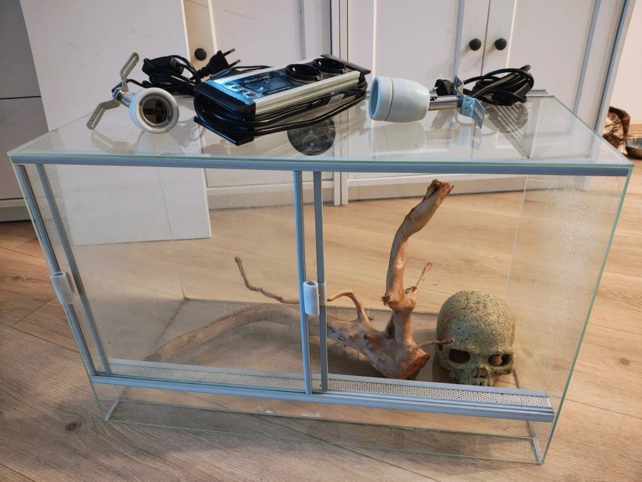 Terrarium dla gekona