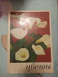 Книга Цветы Комнатные растения и декоративно-цветущие кустарники
Б/у
С