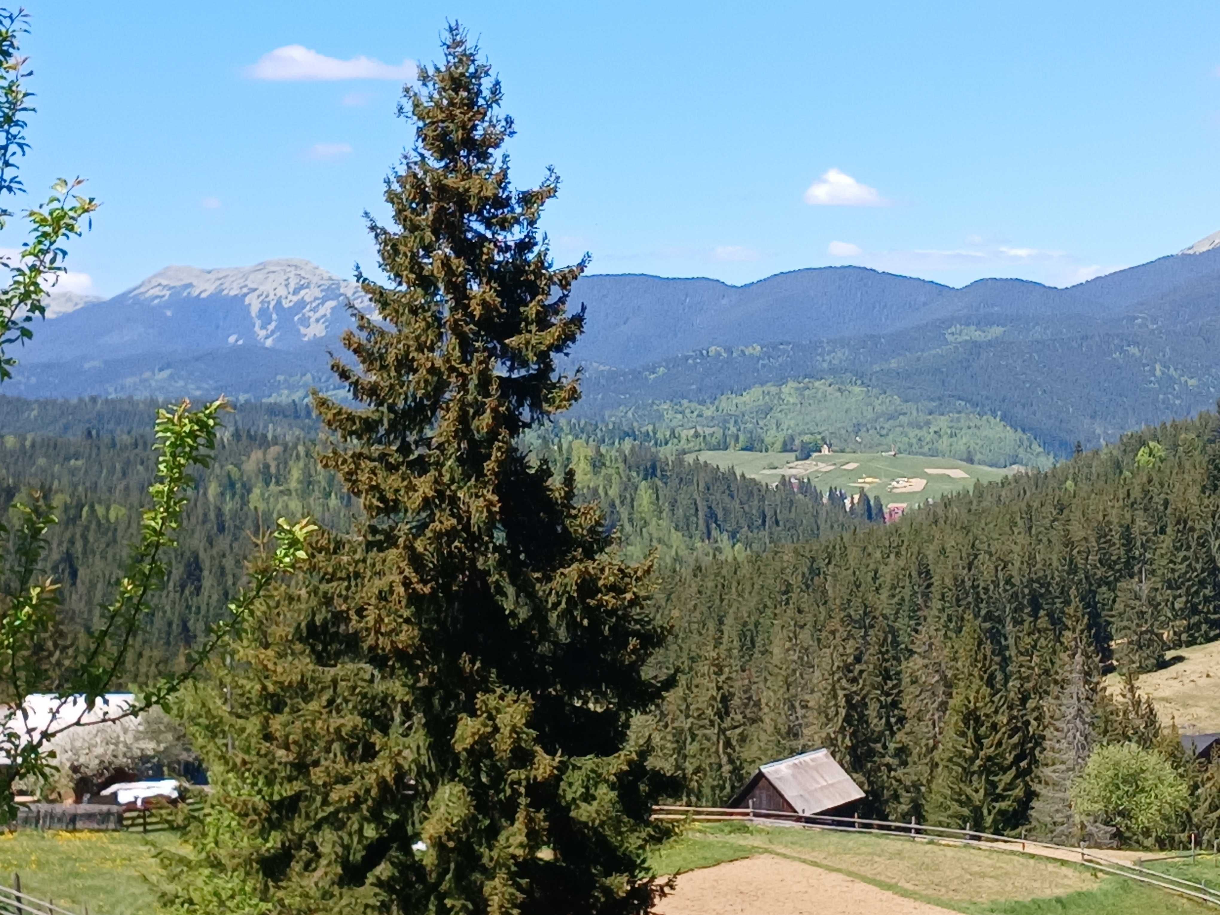 Здаєтся котедж  NORTH HILL