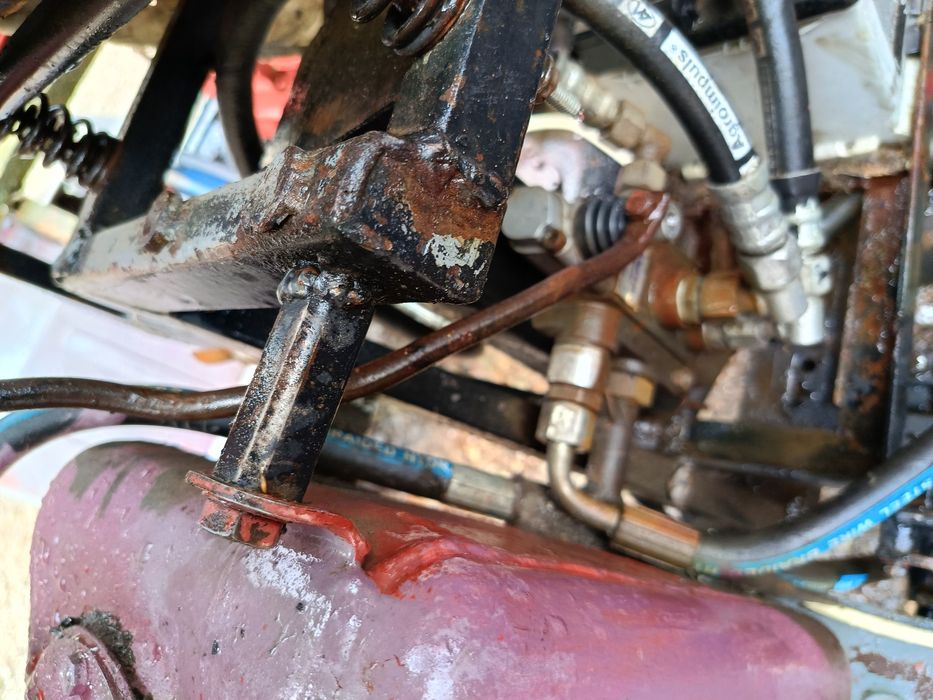 Продається Прикарпатець.