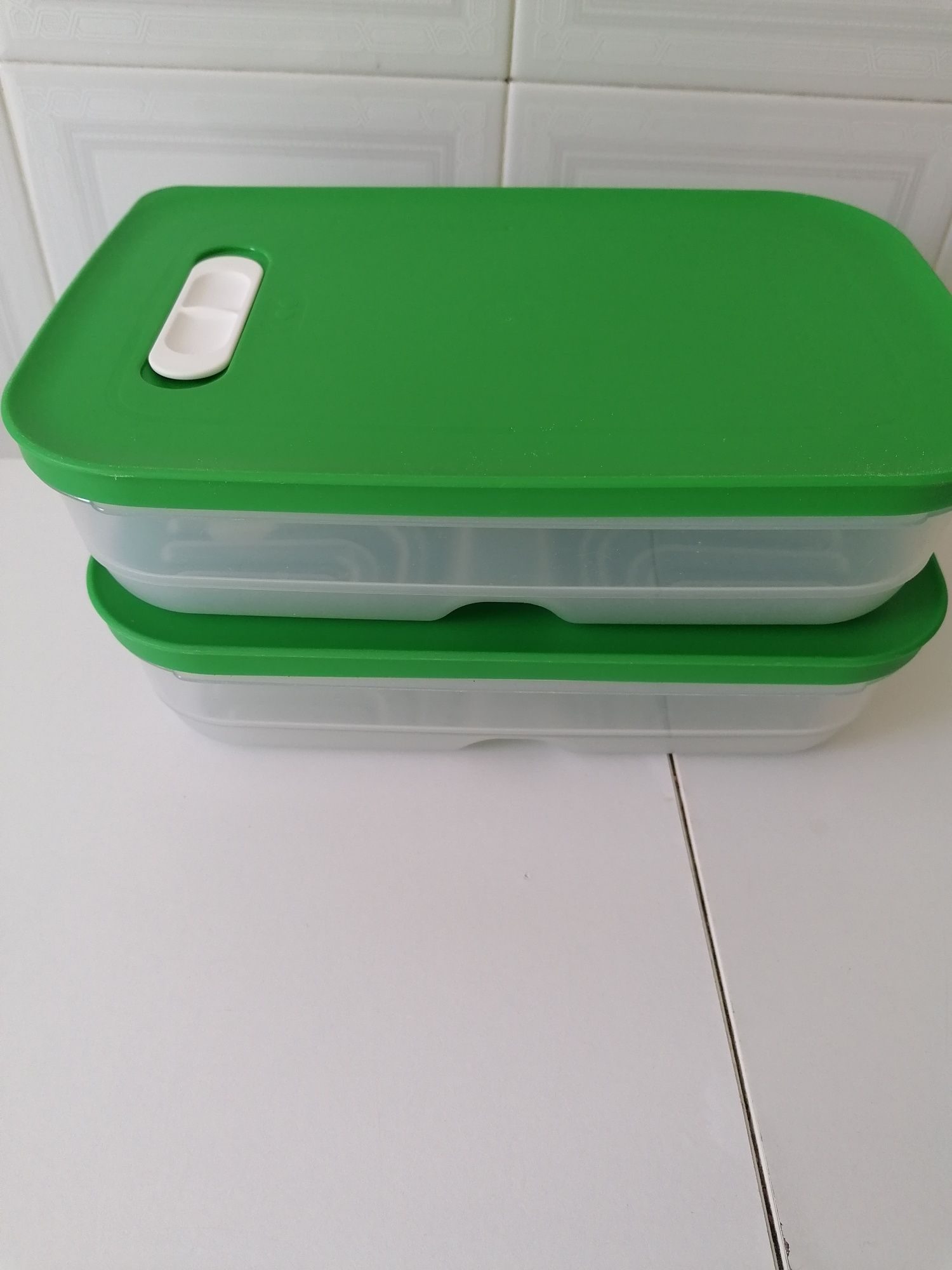 Conjunto de 2 caixas Tupperware