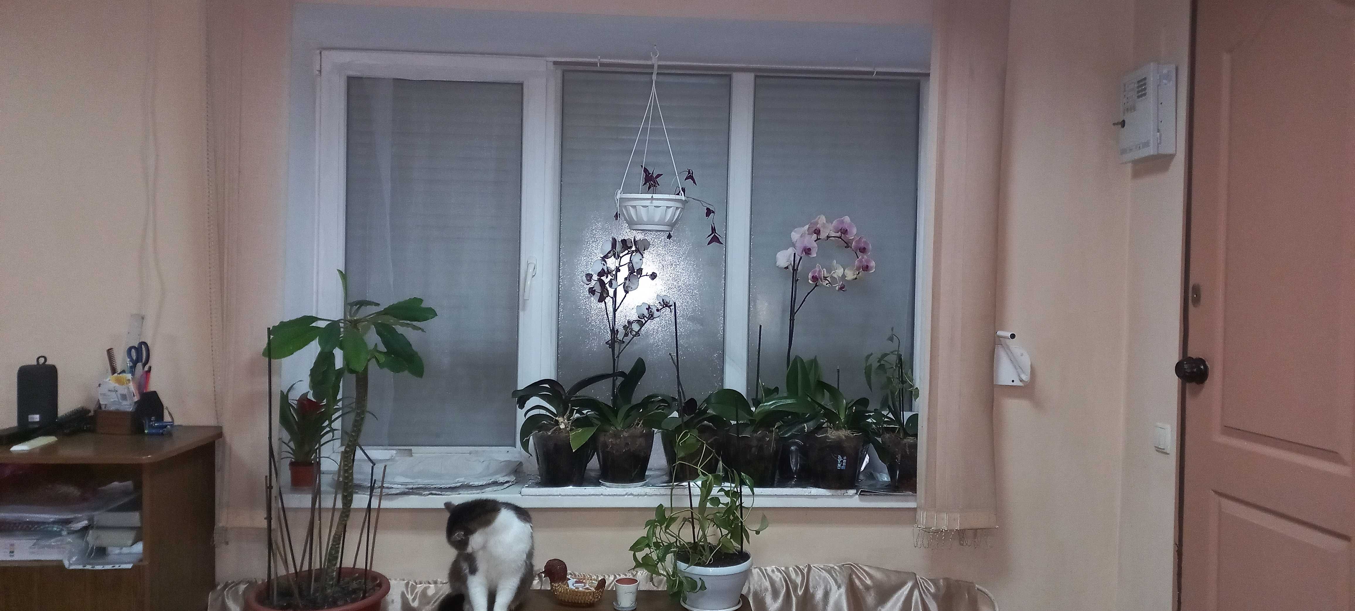 Продаж 2-к  квартири  в р-н Машбуд