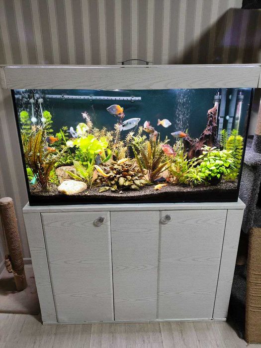 Продам аквариум 250л, травник, полный комплект