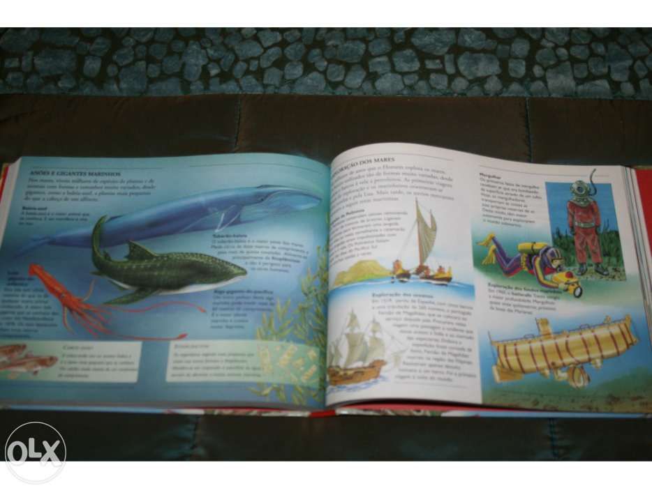 Livro " Descobrir Enciclopédia Mundo Natural"