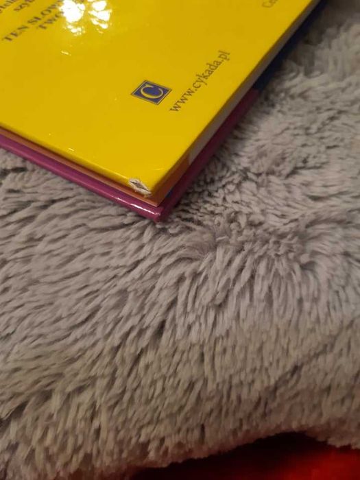 wielki ilustrowany słownik angielsko-polski dla dzieci i młodzieży