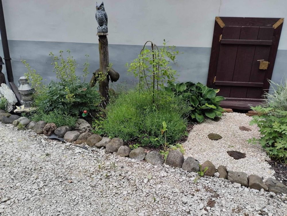 Usługi ogrodnicze-koszenie trawy, pomoc w ogrodzie i inne prace
