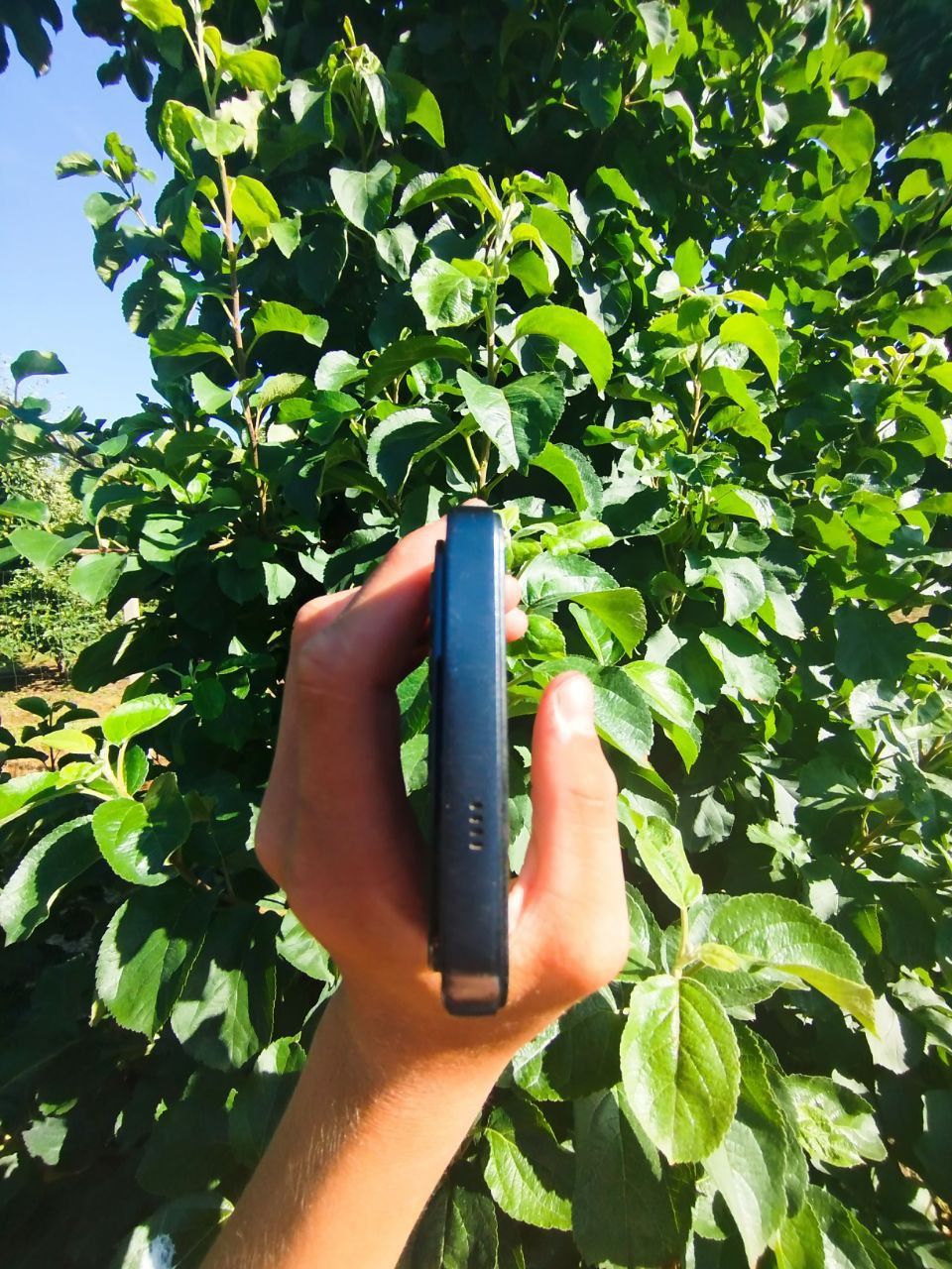 tecno pova 6 neo з коробкою