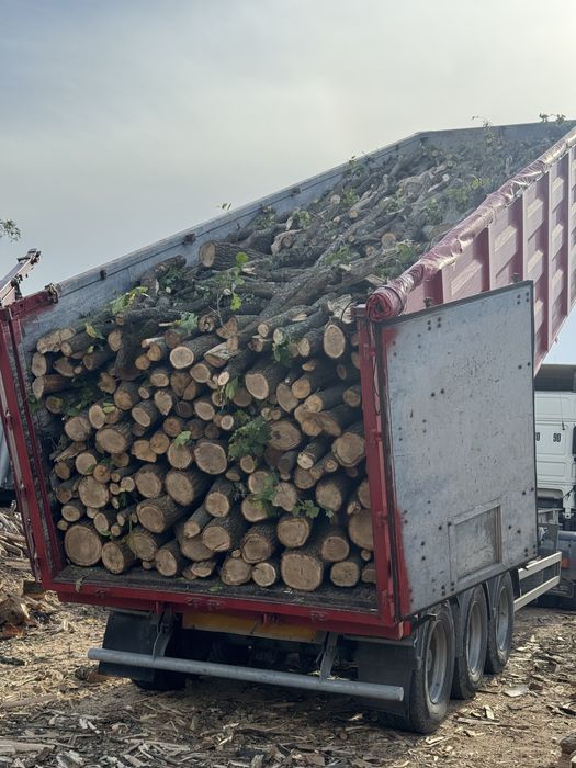 Дрова колоті рубані