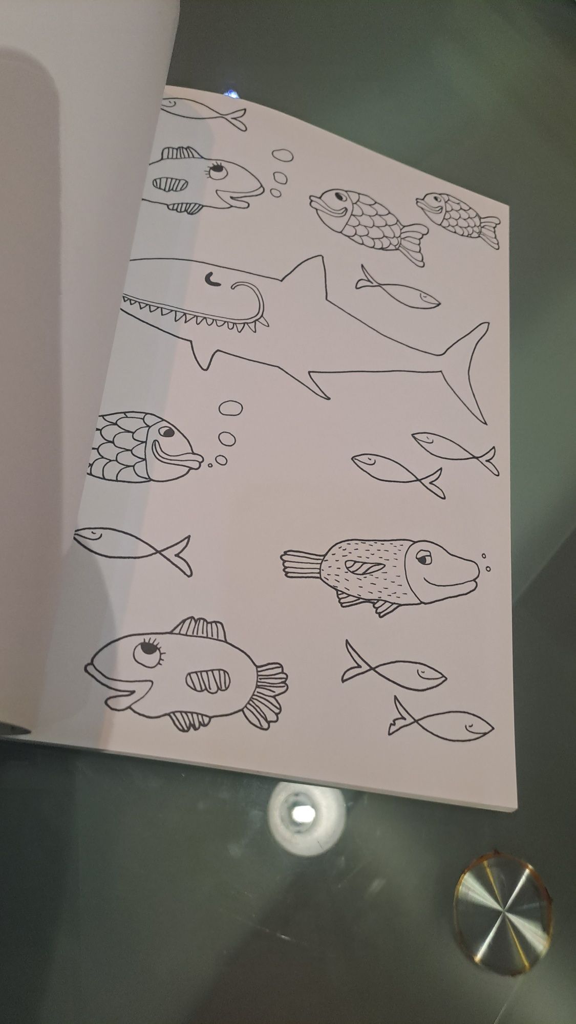 Livro colorir novo