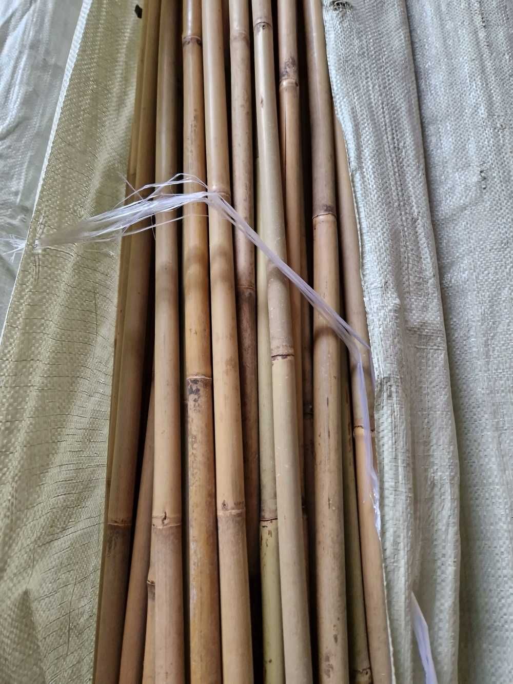 Podpory tyczki do drzewek sadownicze bambus 3m