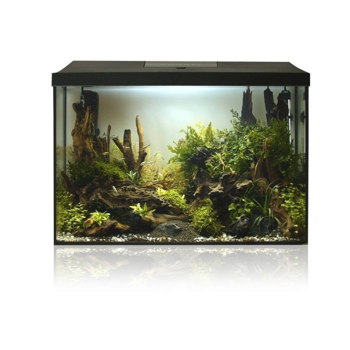 Aquael Leddy 60 Nowy + Żwirek 10kg i Zestaw na start