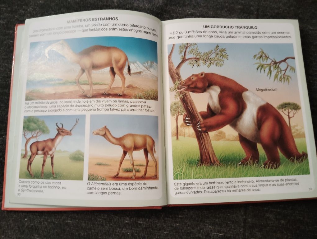Livros Infantis Almofadados Usados