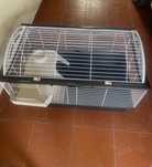 Gaiola para hamsters ou outros animais de pequeno porte