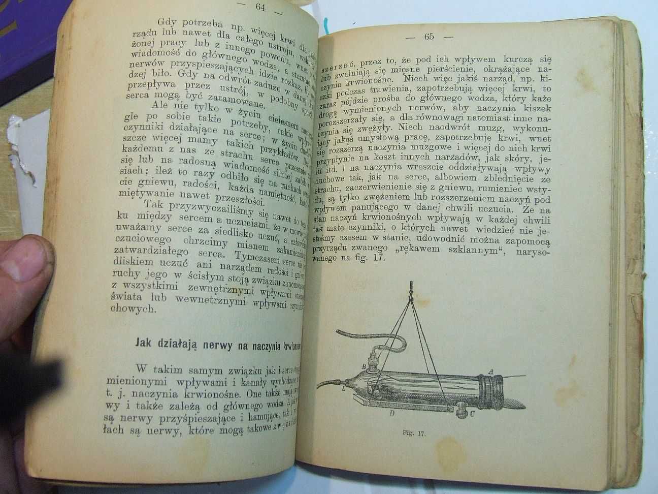Jak się objawia życie ludzkie J. Zanietówski 1897r stara przedwojenna