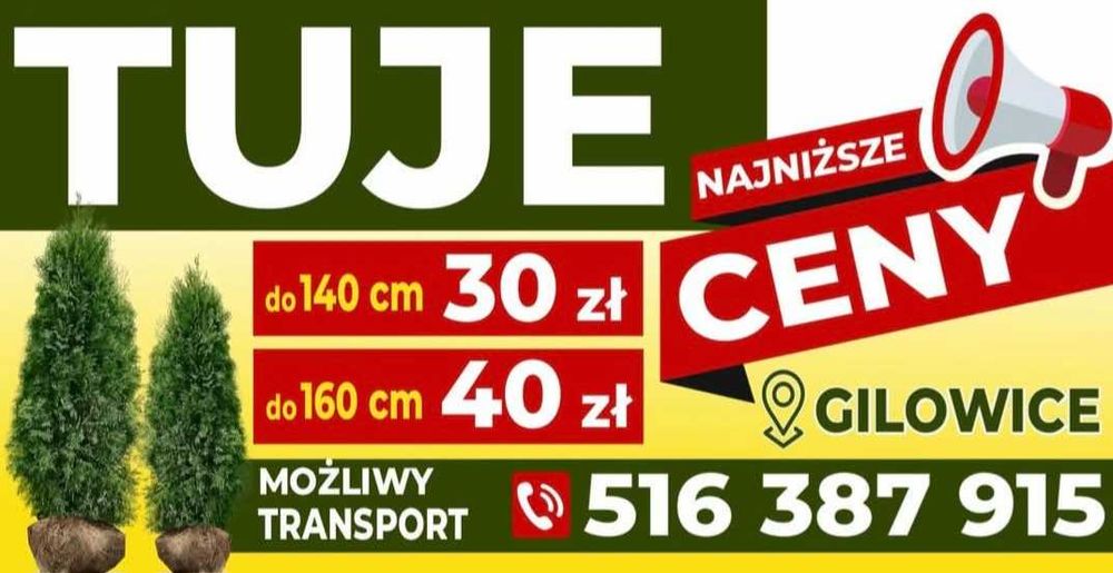 Tuje rozne rodzaje i wysokosci