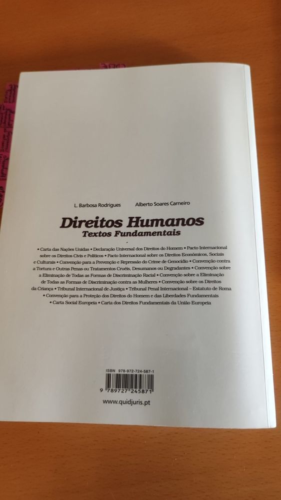 Direitos humanos- textos fundamentais