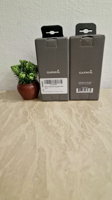 Смарт-годиник Garmin Forerunner 55 Black [010-02562-10