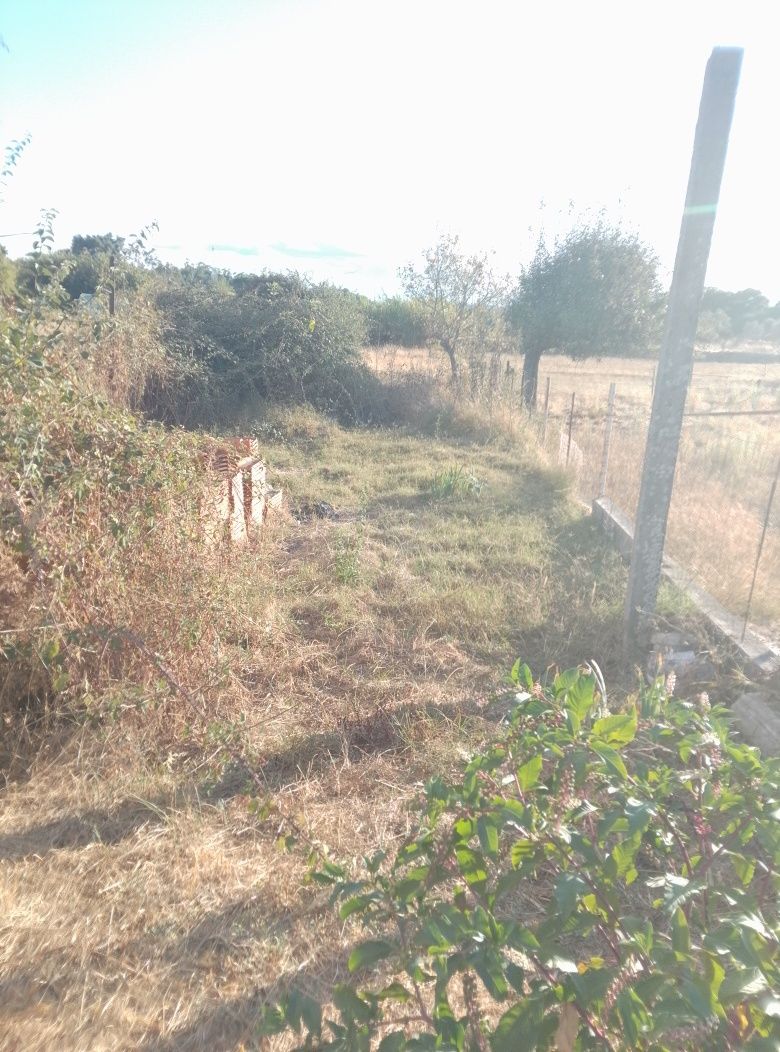 Terreno em Alcains