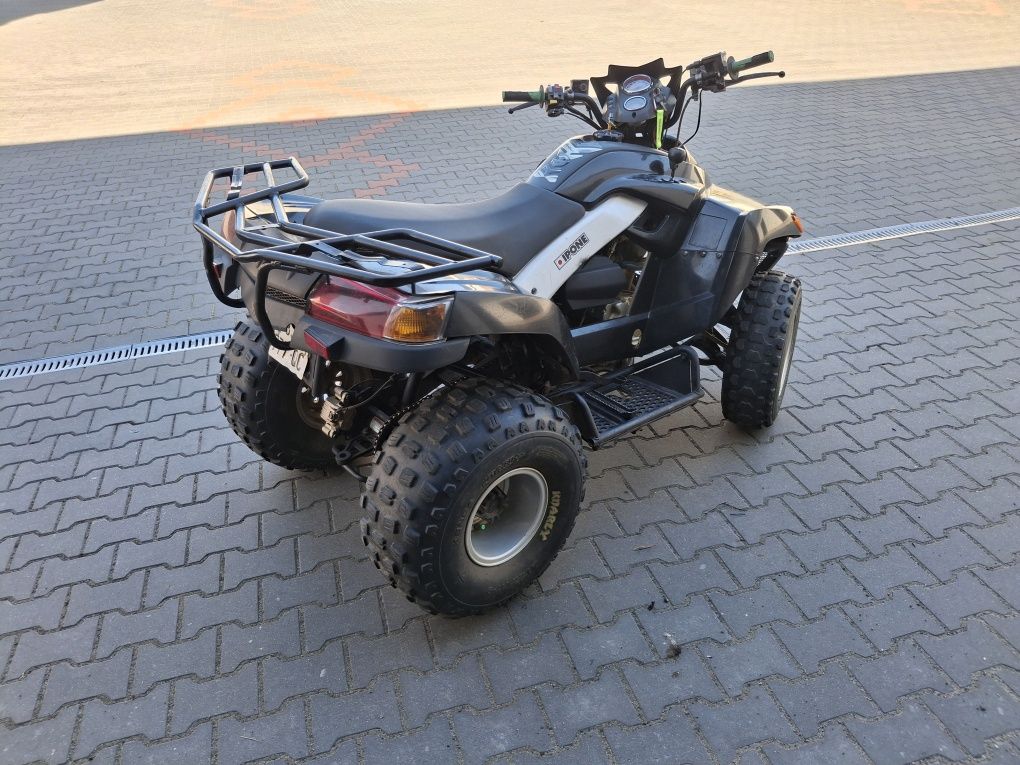 sym qudlander 250 quad Yamaha grizzly