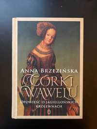 Książka Córki Wawelu