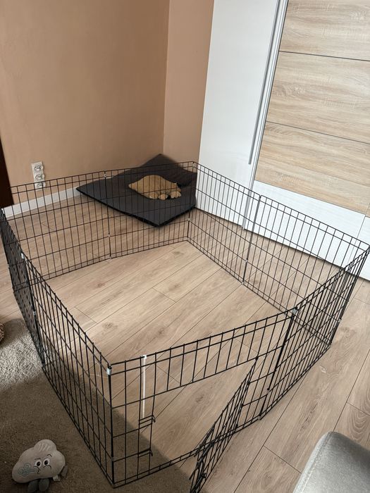 kojec dla psa klatka dla psa zagroda dla psa z drzwiczkami