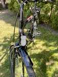 Rower Folta Aves