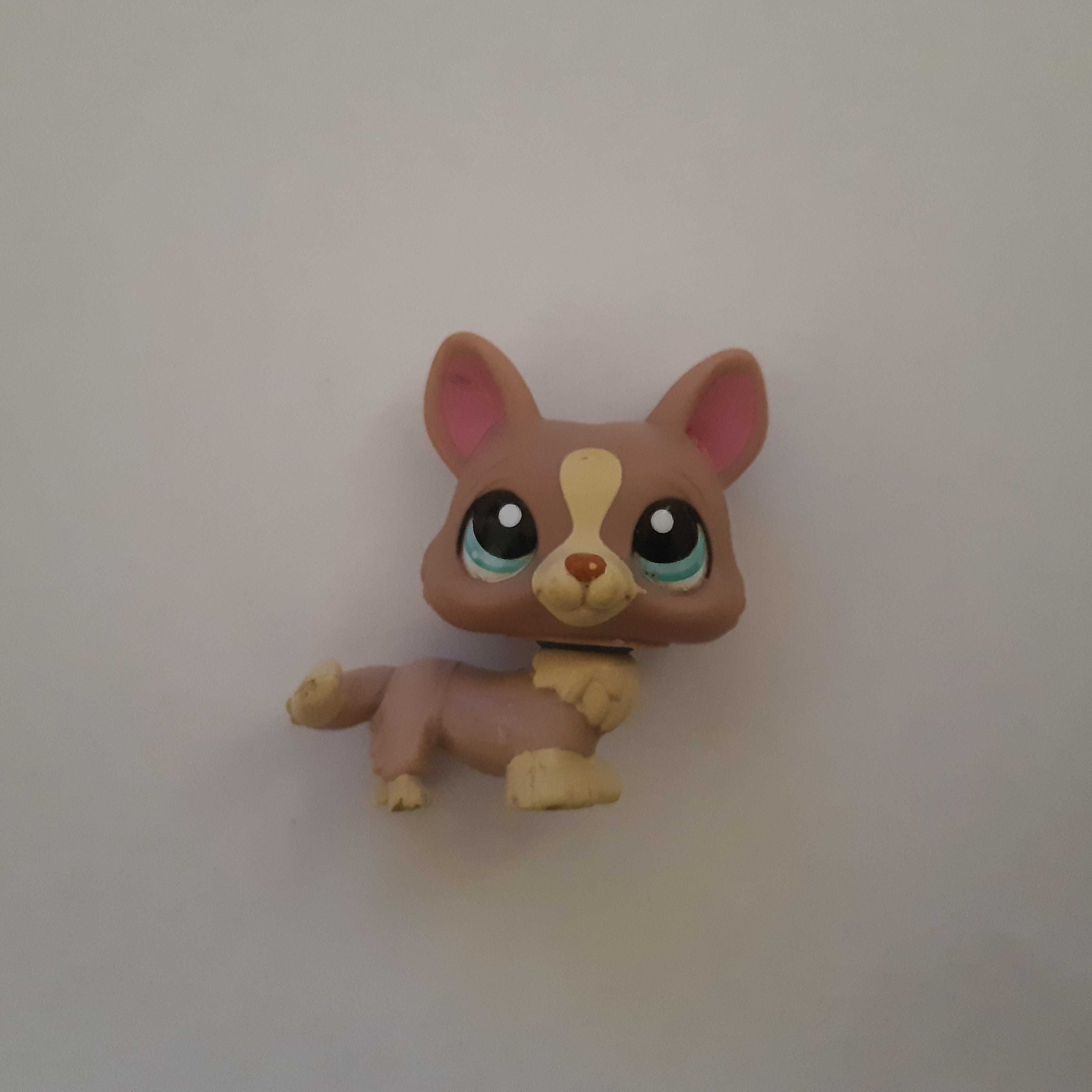 pies chow chow Littlest pet shop