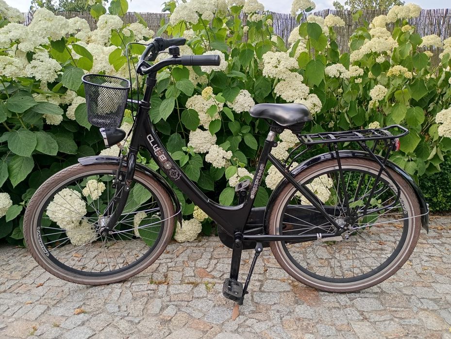 Miejski rower dziewczęcy 26