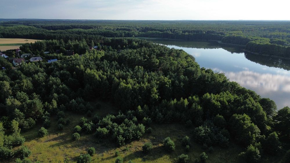 Działka pod zabudowę, las z linią brzegową