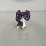 Lps pop unikat collie #1676