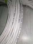 Kable sieciowe LAN 33szt - AMP SYSTEMS CABLE CAT. 5 - 3m