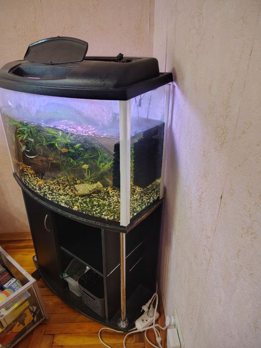 Акваріум з тумбою