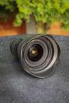 Canon EF 16-35mm f/2.8 L USM + tulipan