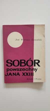 Sobór Powszechny Jana XXIII - Jan Wierusz Kowalski